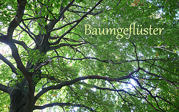 Baumgeflüster Titelbild