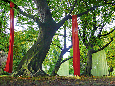 Drei Hainbuchen - Vortrag