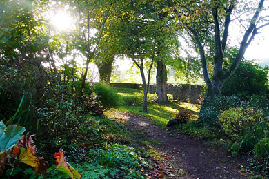 Parkszene in Schmerlenbach