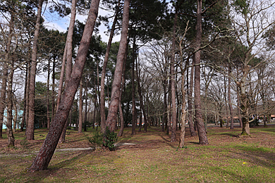 Schulgelände in Soulac sur Mer
