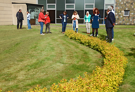 Versuchspflanzung Mai 2025